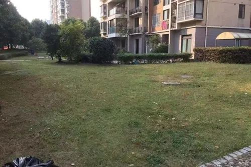 333333.jpg 333333.jpg