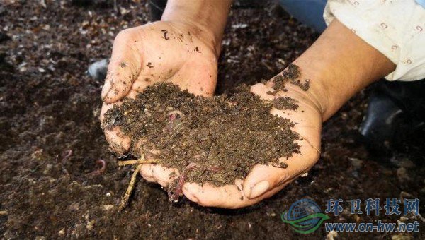 每20噸不值錢的濕垃圾，可以轉(zhuǎn)換成1噸售價在1萬多元的蚯蚓活體