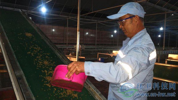 經(jīng)過篩選、蒸煮、烘干、粉碎后的蟲干、蟲粉，市場價值比蚯蚓活體高出許多 